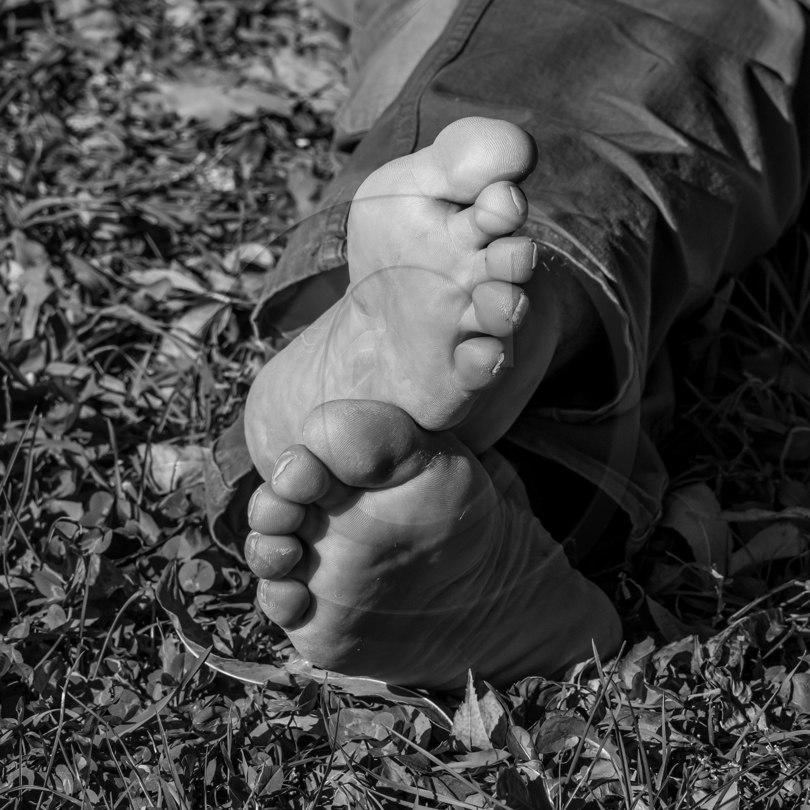 24 octobre 2021 : Fais ta soupe et ramène ta pomme