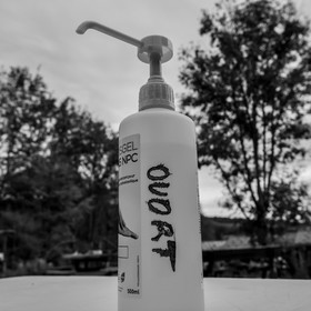 Semis, tournesols et jeux