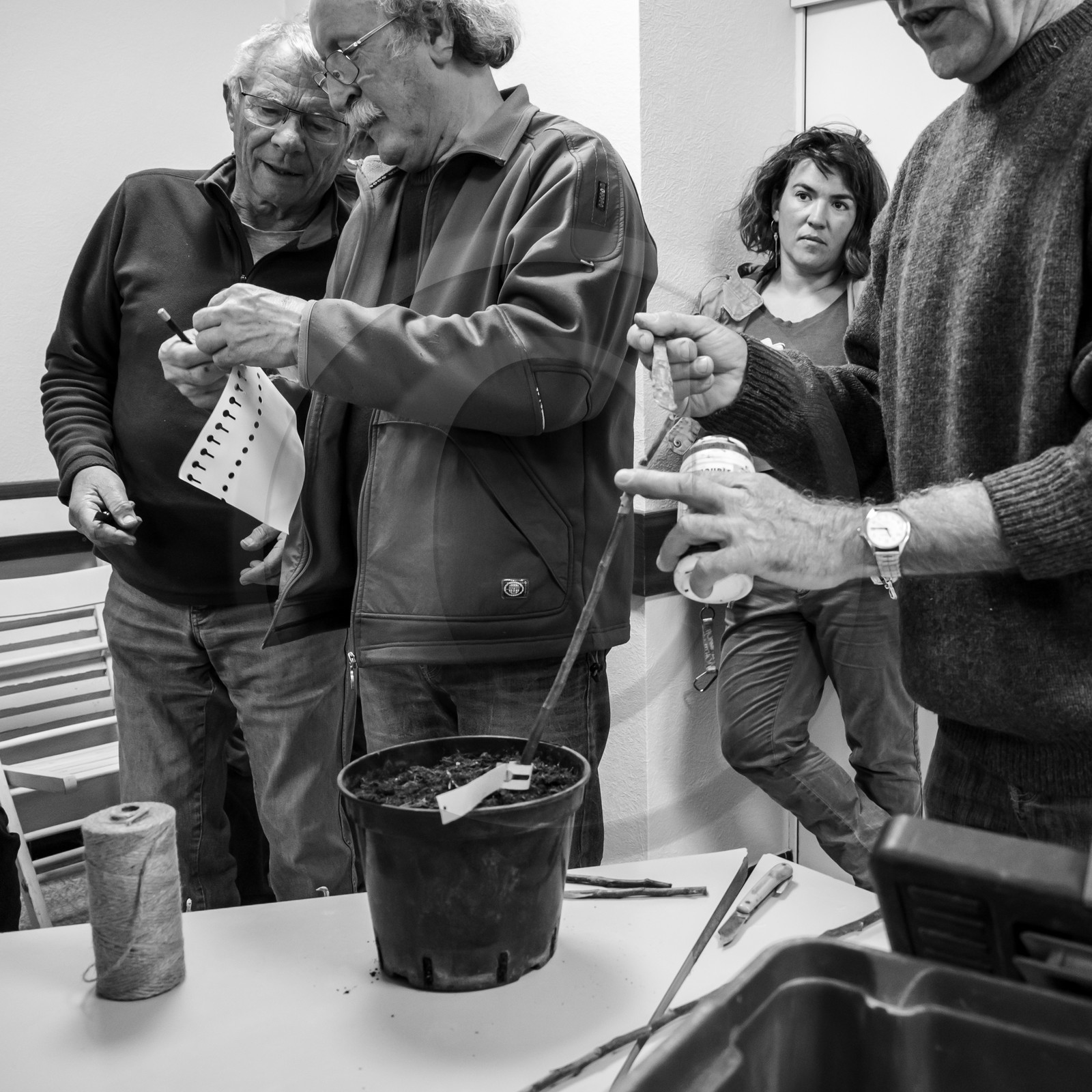 03 avril 2019 : Initiation à la greffe d'arbres fruitiers