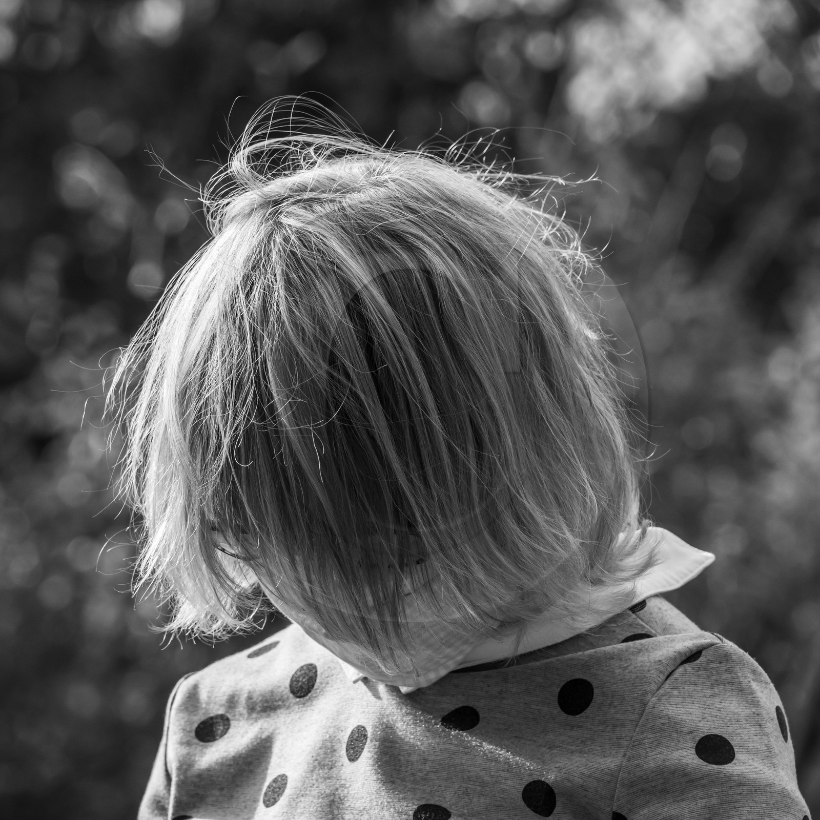 Semis, tournesols et jeux Semis, tournesols et jeux