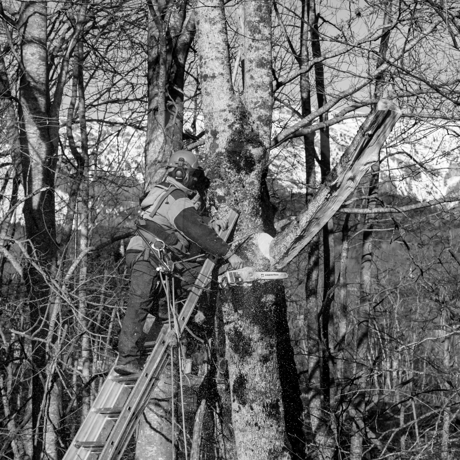 L'Ouort de Bénévent - 08 mars 2017 L'Ouort de Bénévent - 08 mars 2017