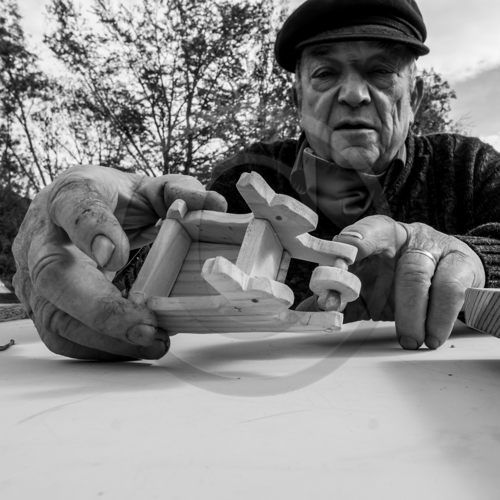 Semis, tournesols et jeux Semis, tournesols et jeux