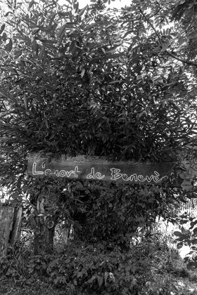 16 juillet 2025 : Les Triplettes