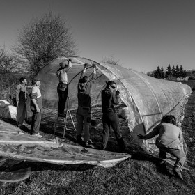 Montage de serres tunnel