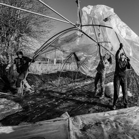 Montage de serres tunnel