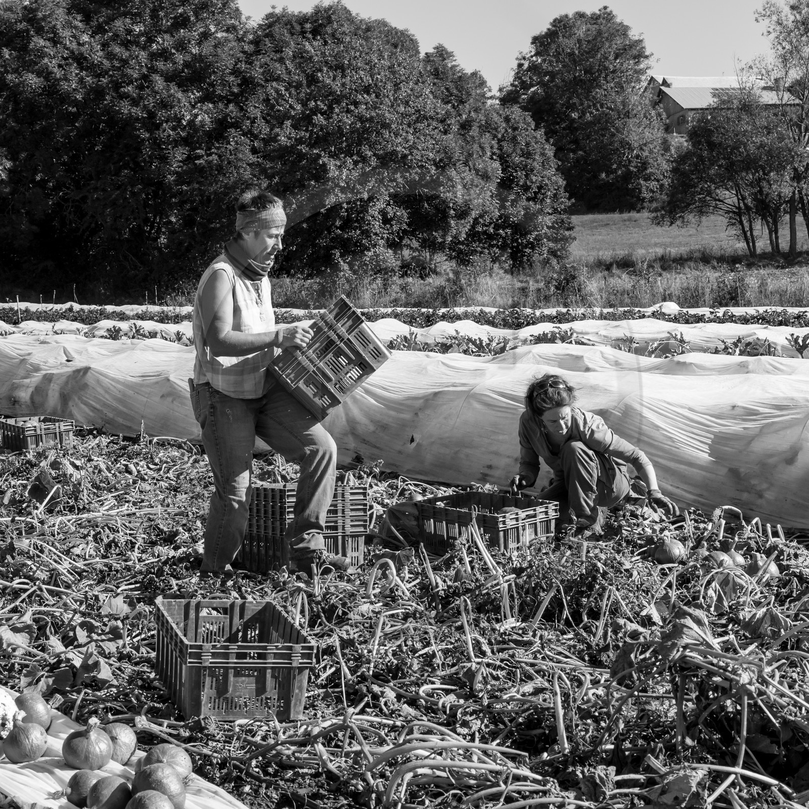 dlebioda-03102016-L1173970.jpg dlebioda-03102016-L1173970.jpg