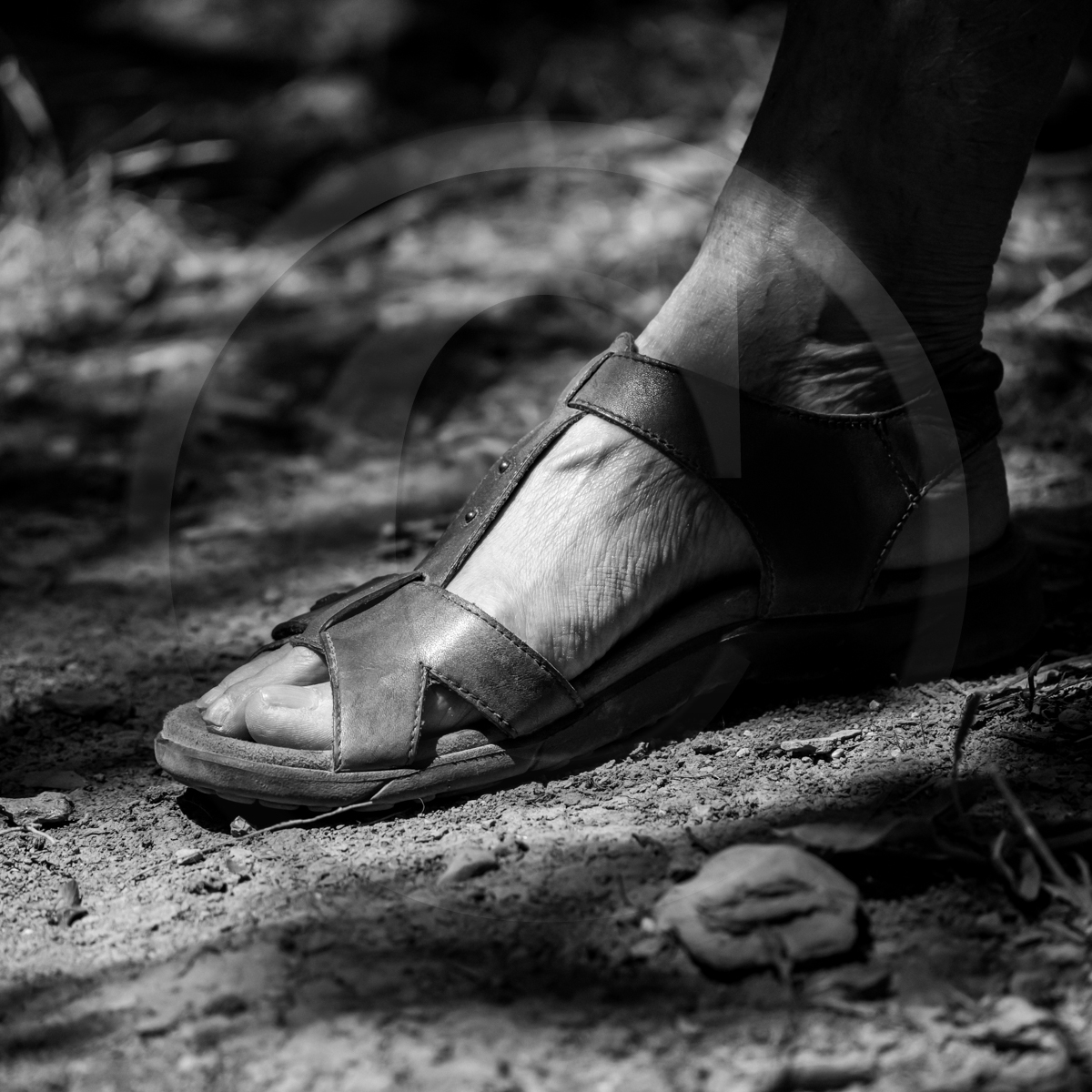 Contes avec Agnés Dumouchel