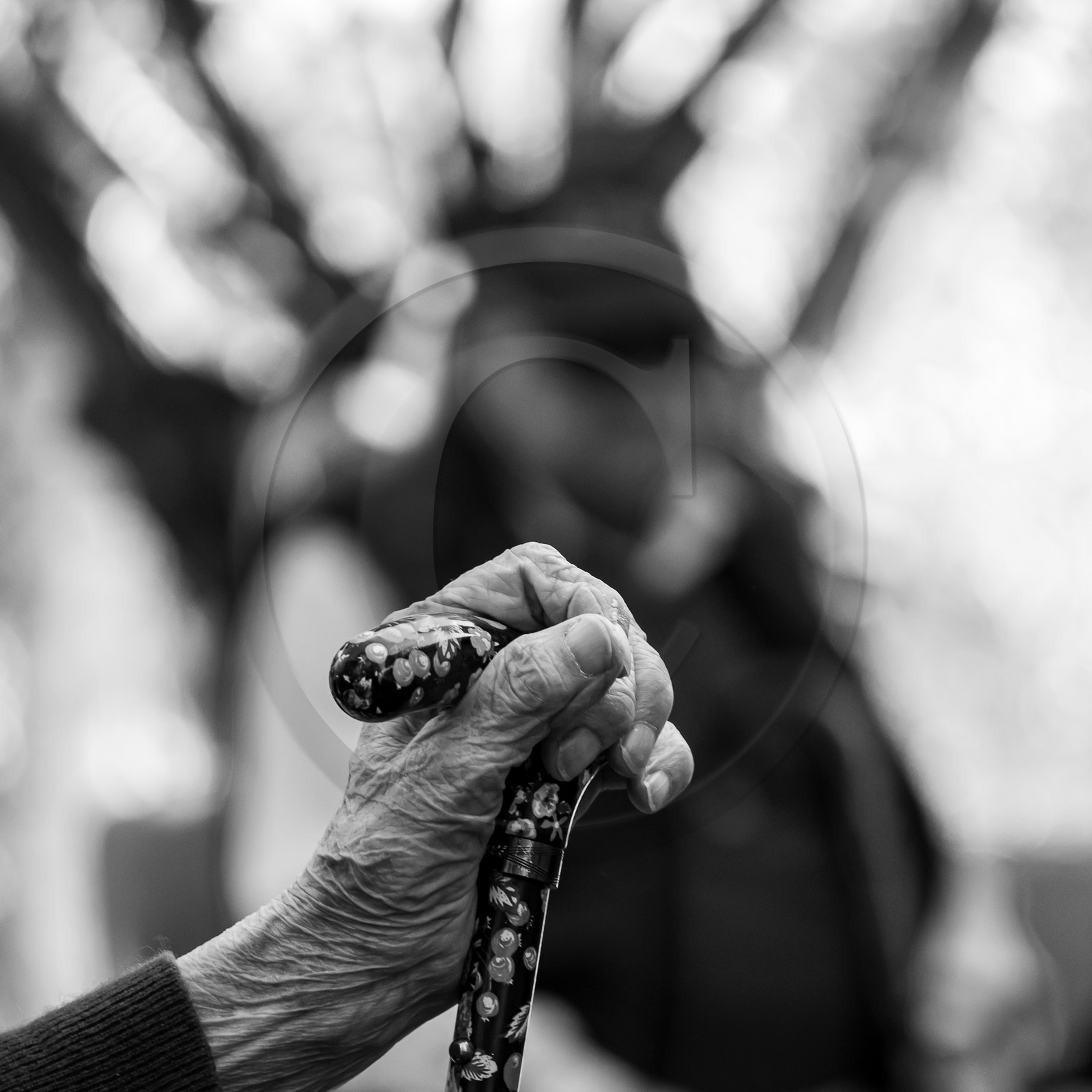 11 octobre 2023 : Chorale et Molky 11 octobre 2023 : Chorale et Molky