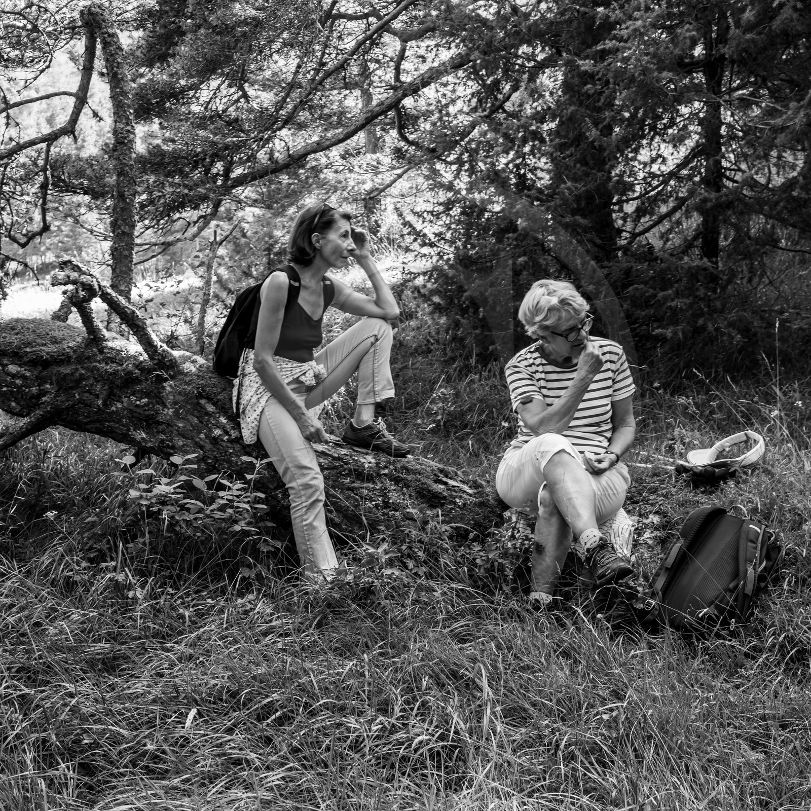 Arpenter le paysage avec Martin de la Soudière