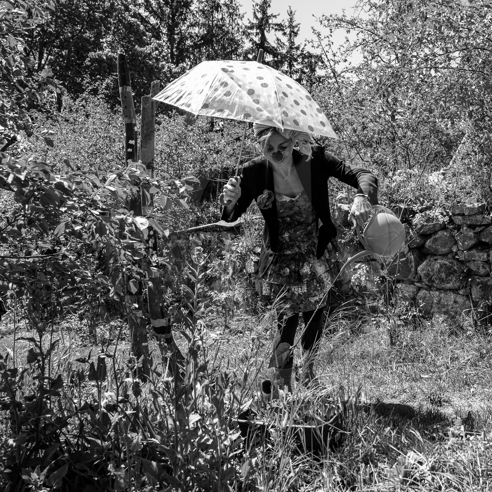 10 mai 2023 : Des clowns à l'Ouort 10 mai 2023 : Des clowns à l'Ouort