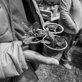 14 mai 2023 : Vide-Jardin