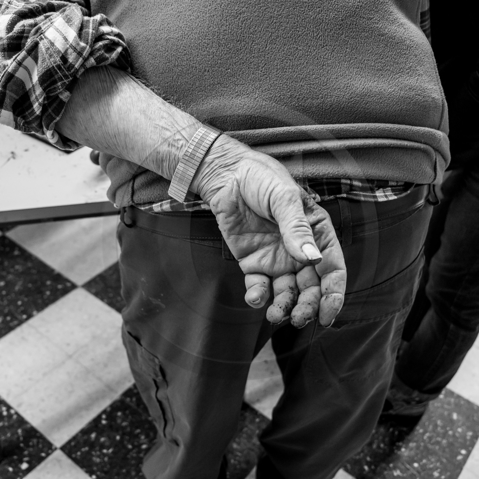 Atelier repiquage et semis - 26 04 2017