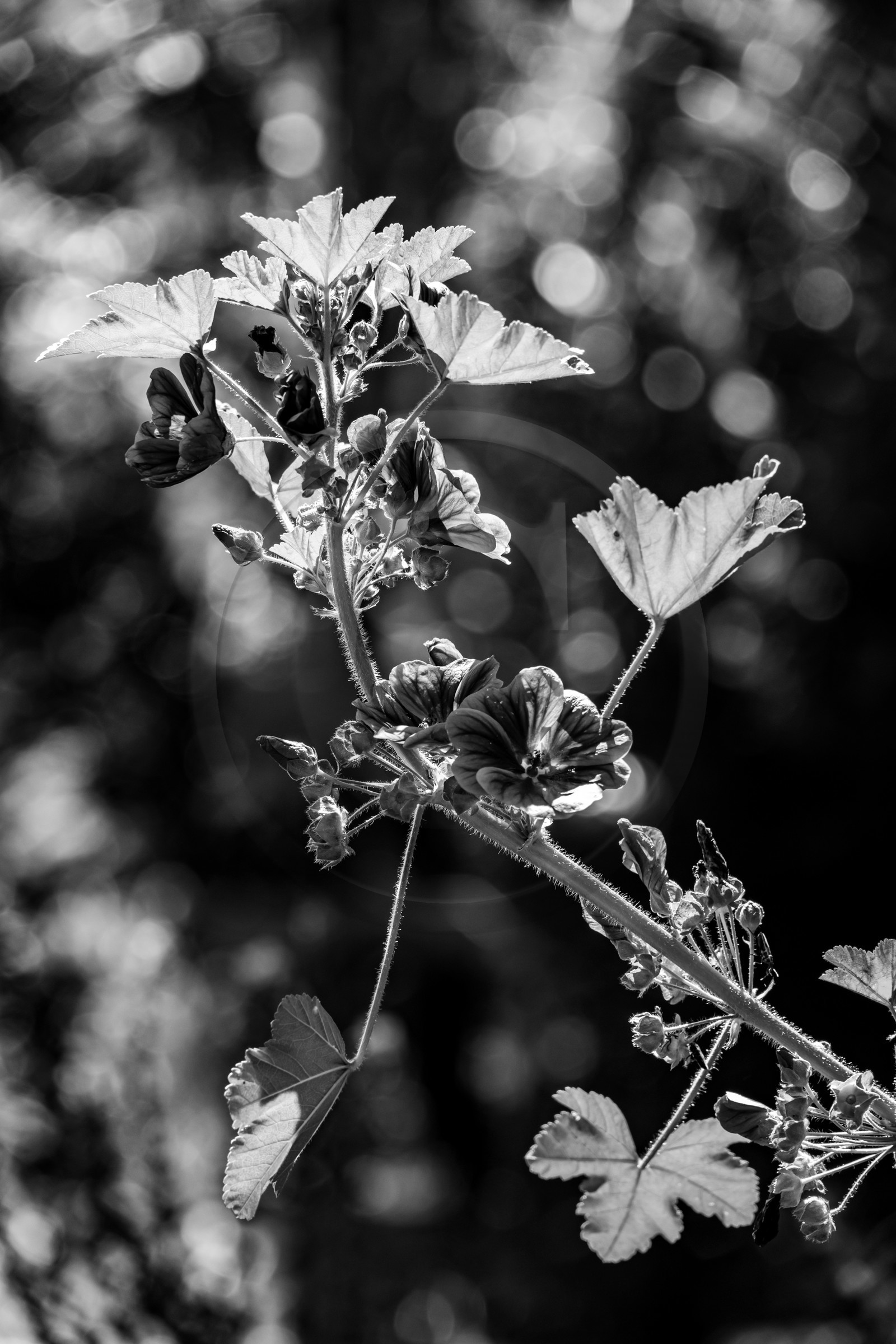 23 aout 2024 : Journée des aidants, aidés et anciens aidants 23 aout 2024 : Journée des aidants, aidés et anciens aidants
