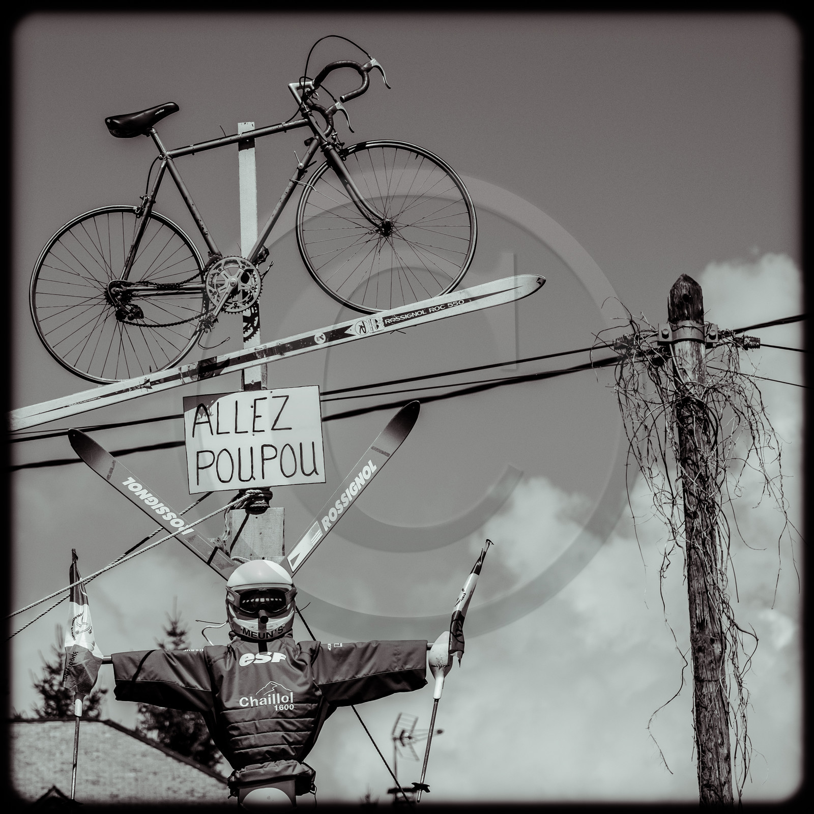 Tour de France cycliste 2020