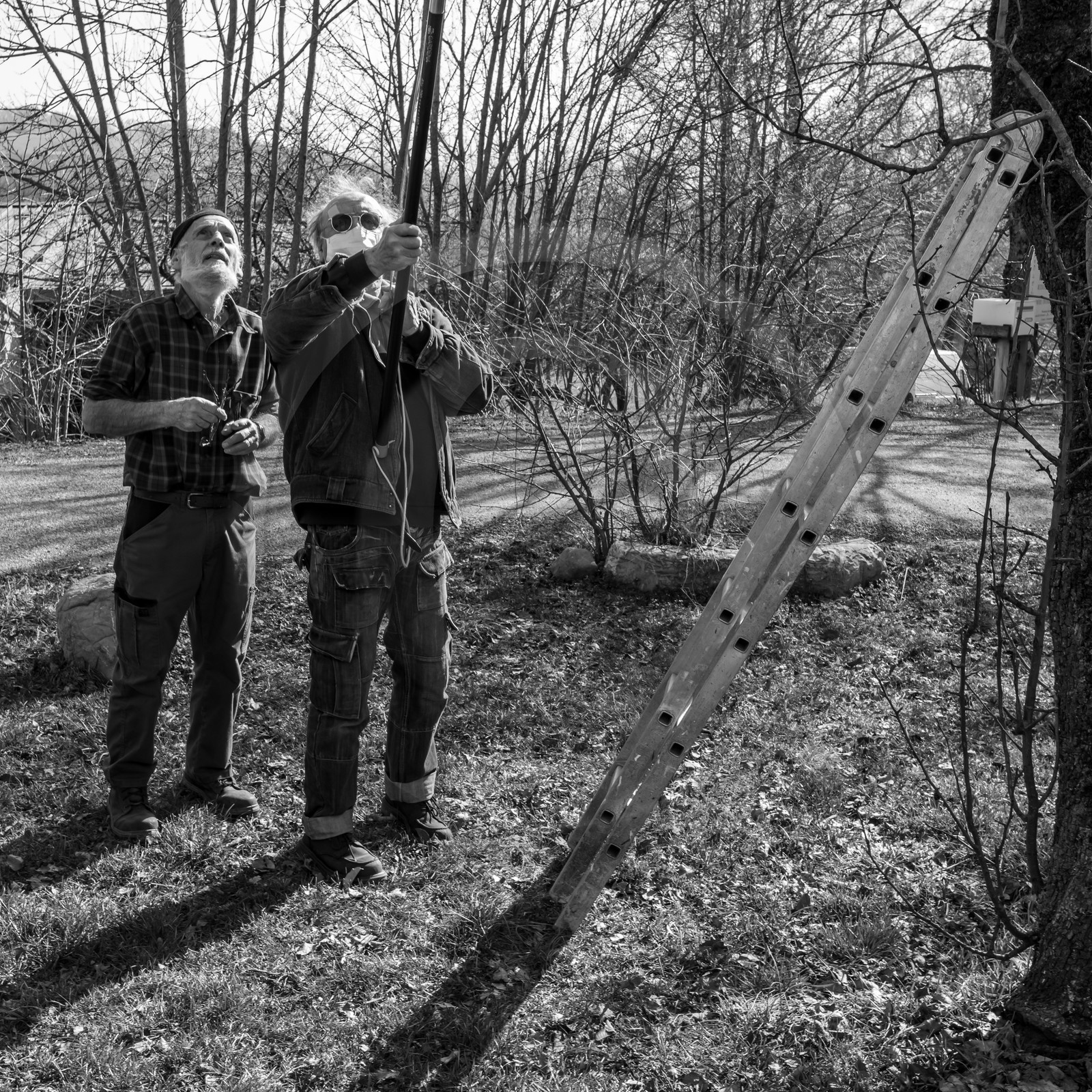 24 février 2021 : on taille, on prépare le jardin... 24 février 2021 : on taille, on prépare le jardin...