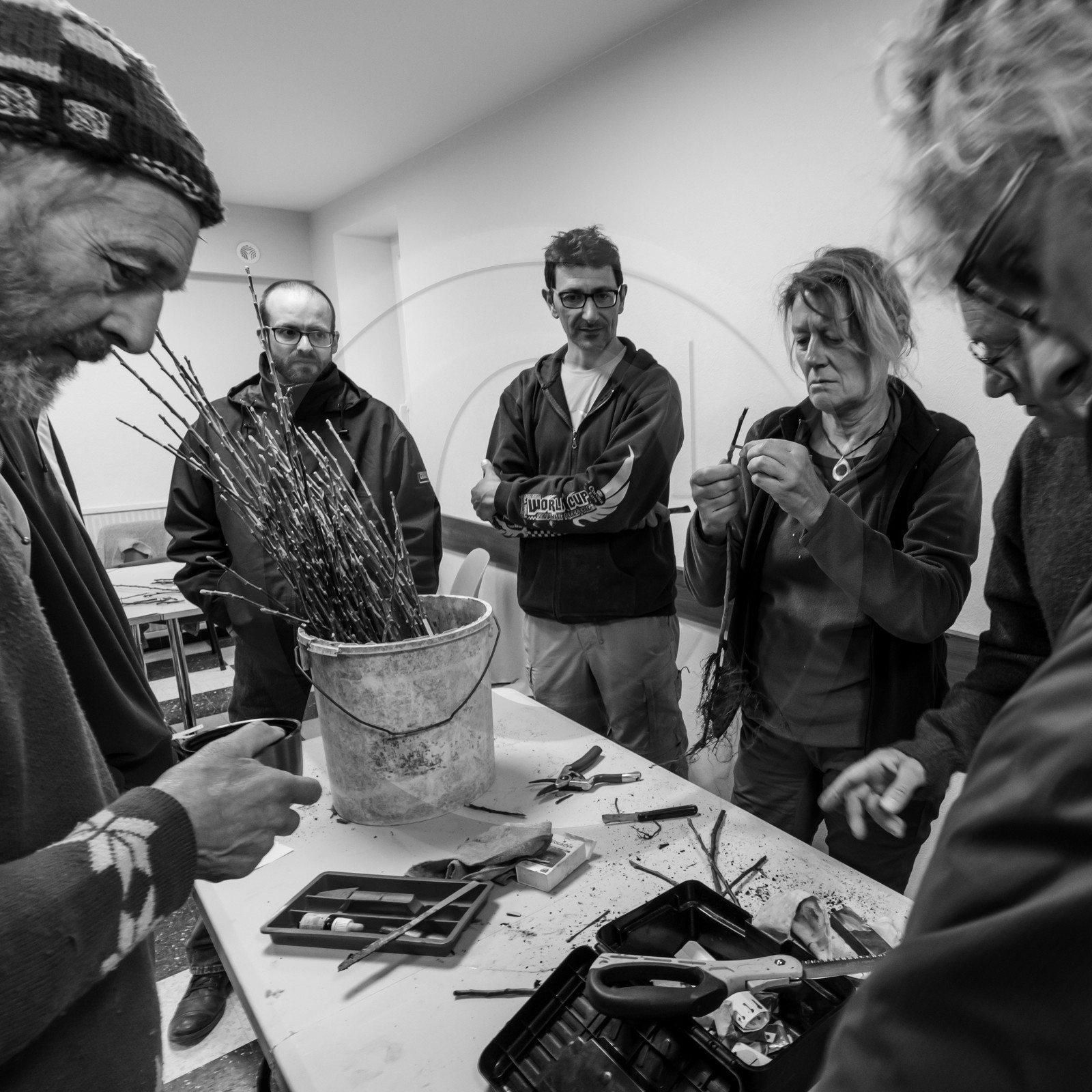 03 avril 2019 : Initiation à la greffe d'arbres fruitiers