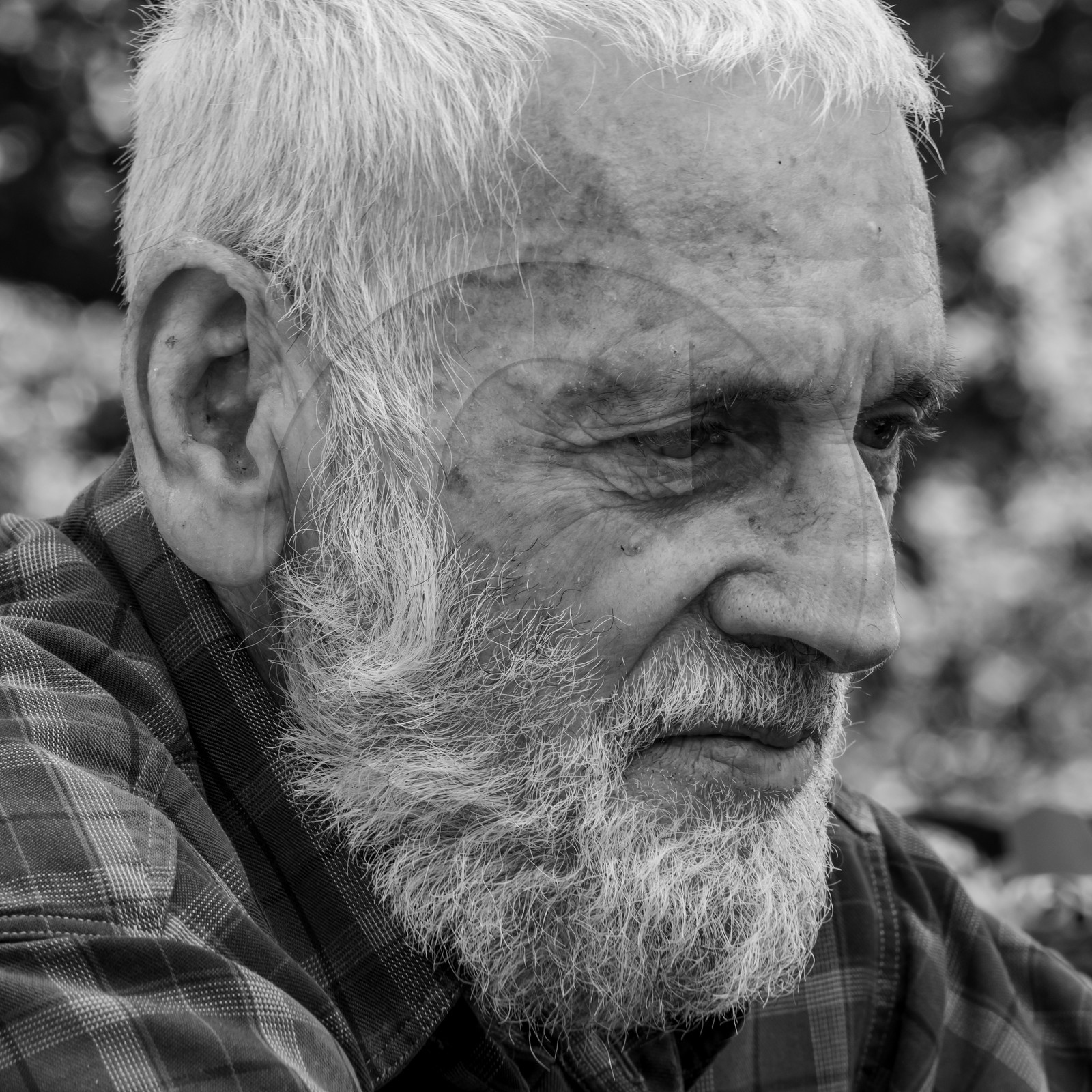 30 juin 2021 : Jardinage, jeux de cartes, masques