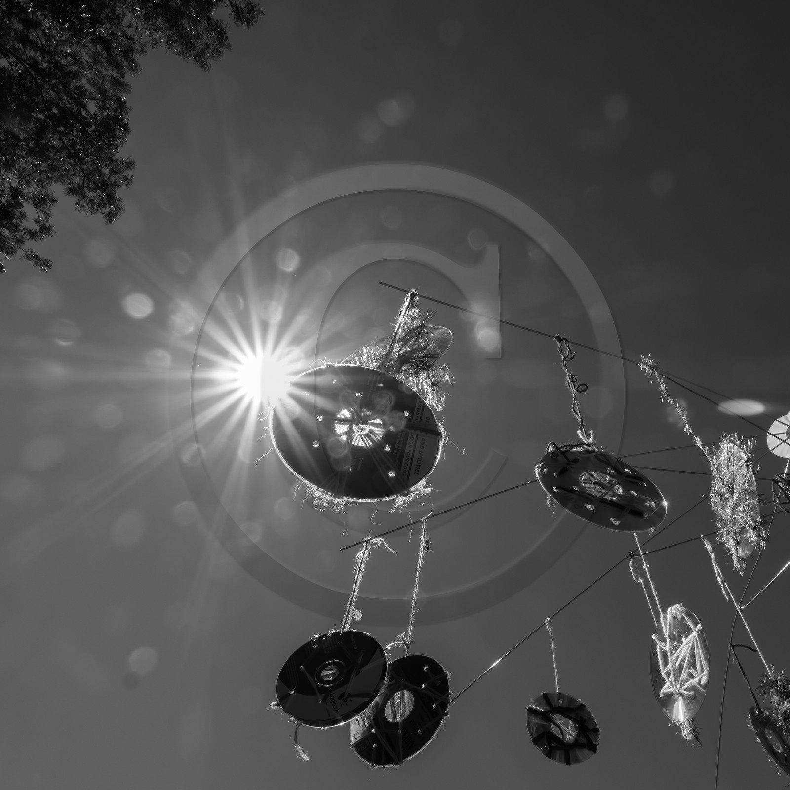 Jeux avec Ludambule