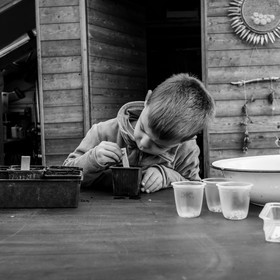 Semis, tournesols et jeux