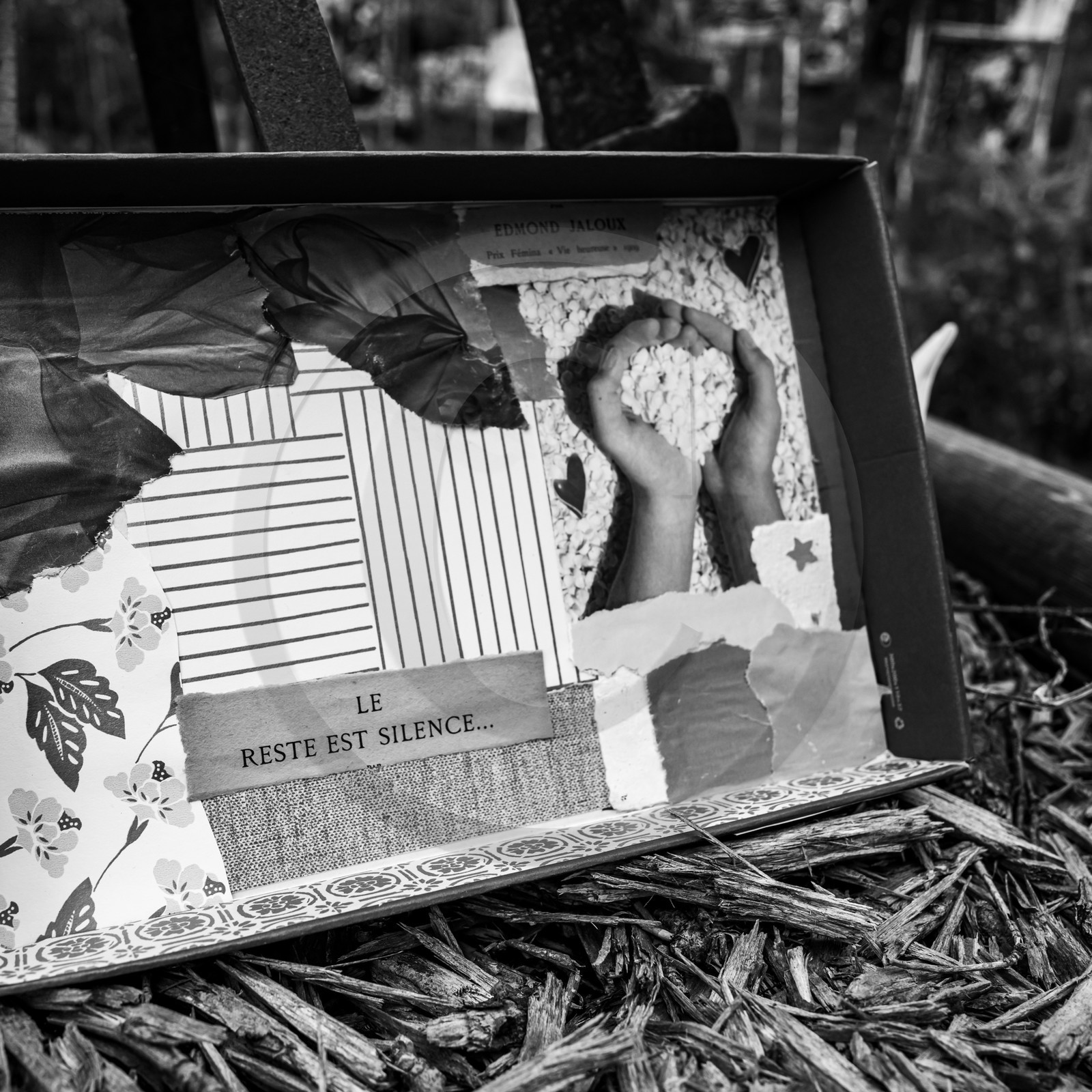 Présentation des réalisation de la saison à l'occasion de la semaine nationale des aidants - Avec la participation de Territoires Aidants