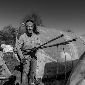 Montage de serres tunnel