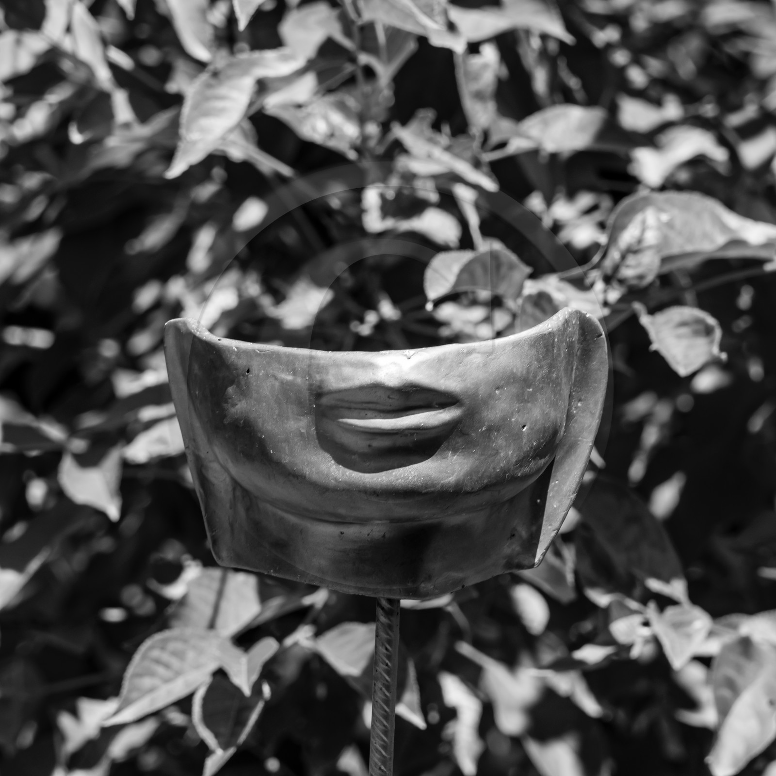 28 juillet 2021 : des jeux et des masques 28 juillet 2021 : des jeux et des masques