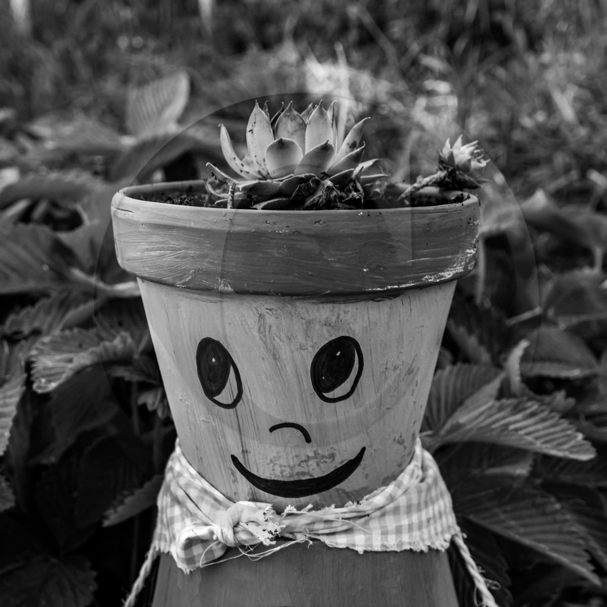 18 mai 2022 : Atelier créatif avec Claudine Meyer