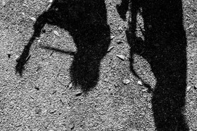 26 octobre 2025 : Les oiseaux de trottoir