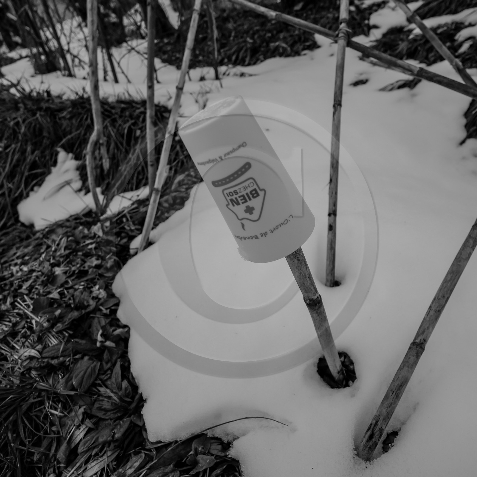 21 janvier 2021 : l'Ouort sous la neige