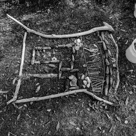 Semis, tournesols et jeux