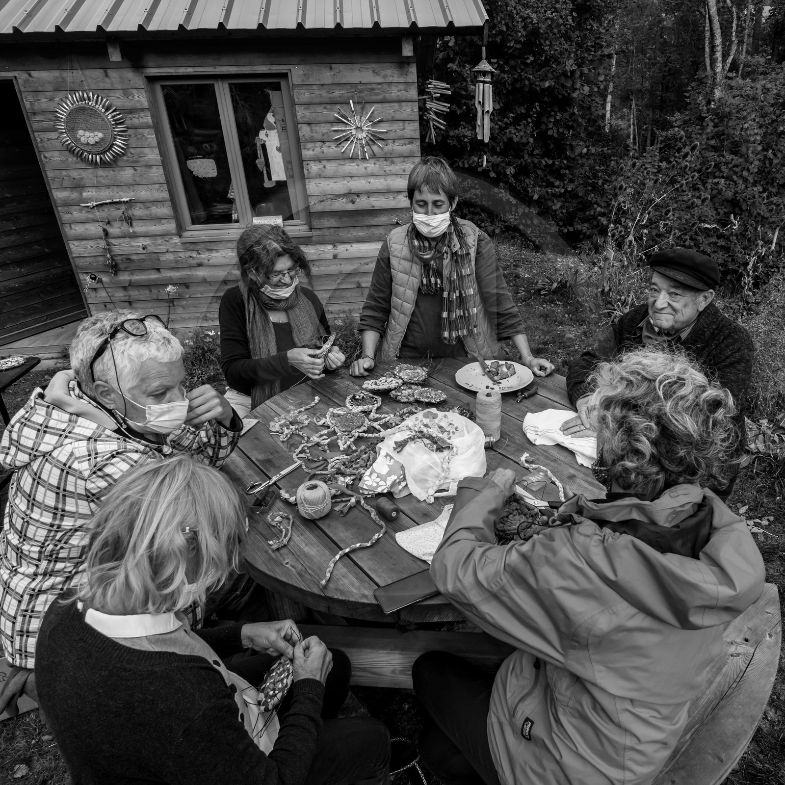Semis, tournesols et jeux Semis, tournesols et jeux