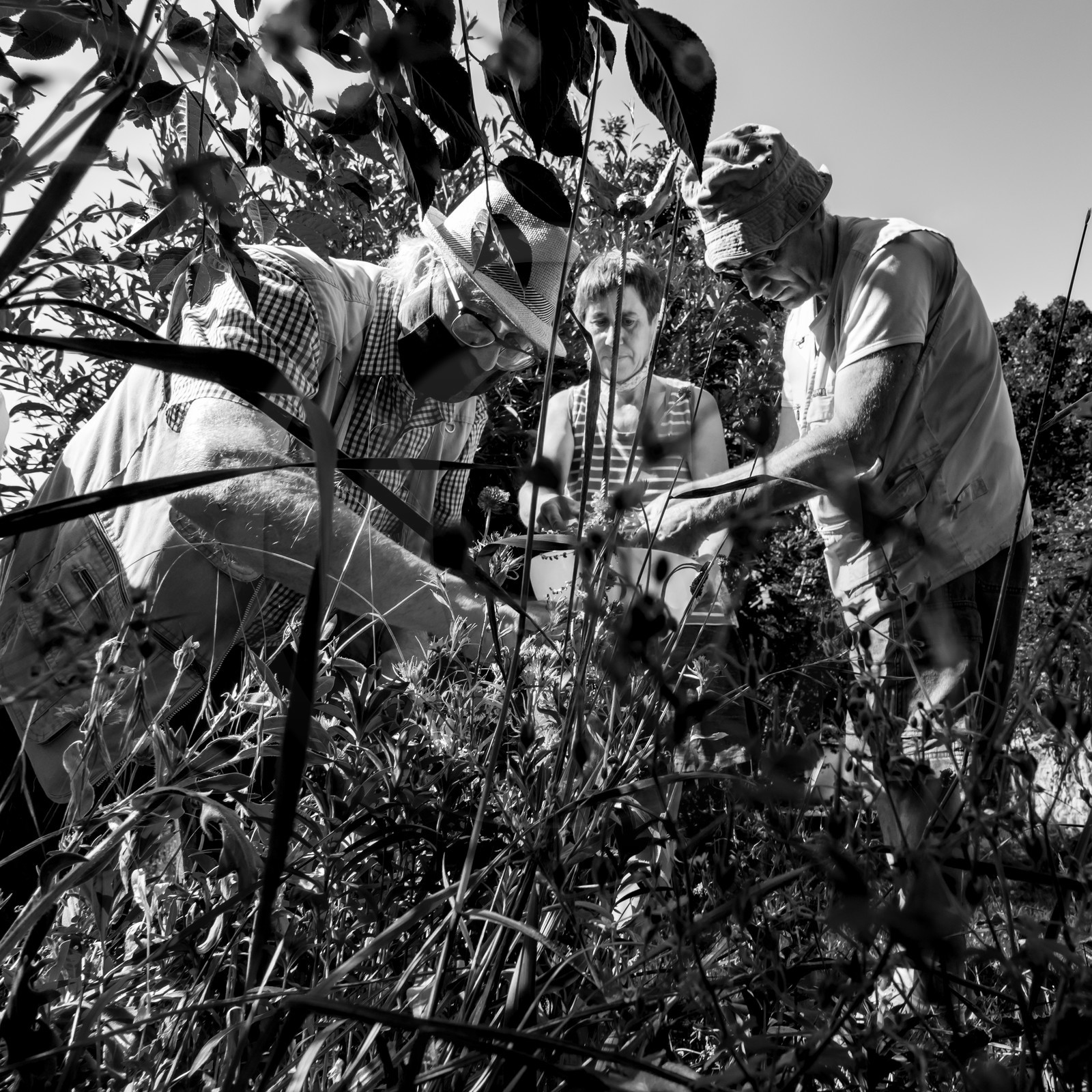 16 août 2021 : Journée des aidants 16 août 2021 : Journée des aidants