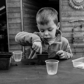 Semis, tournesols et jeux