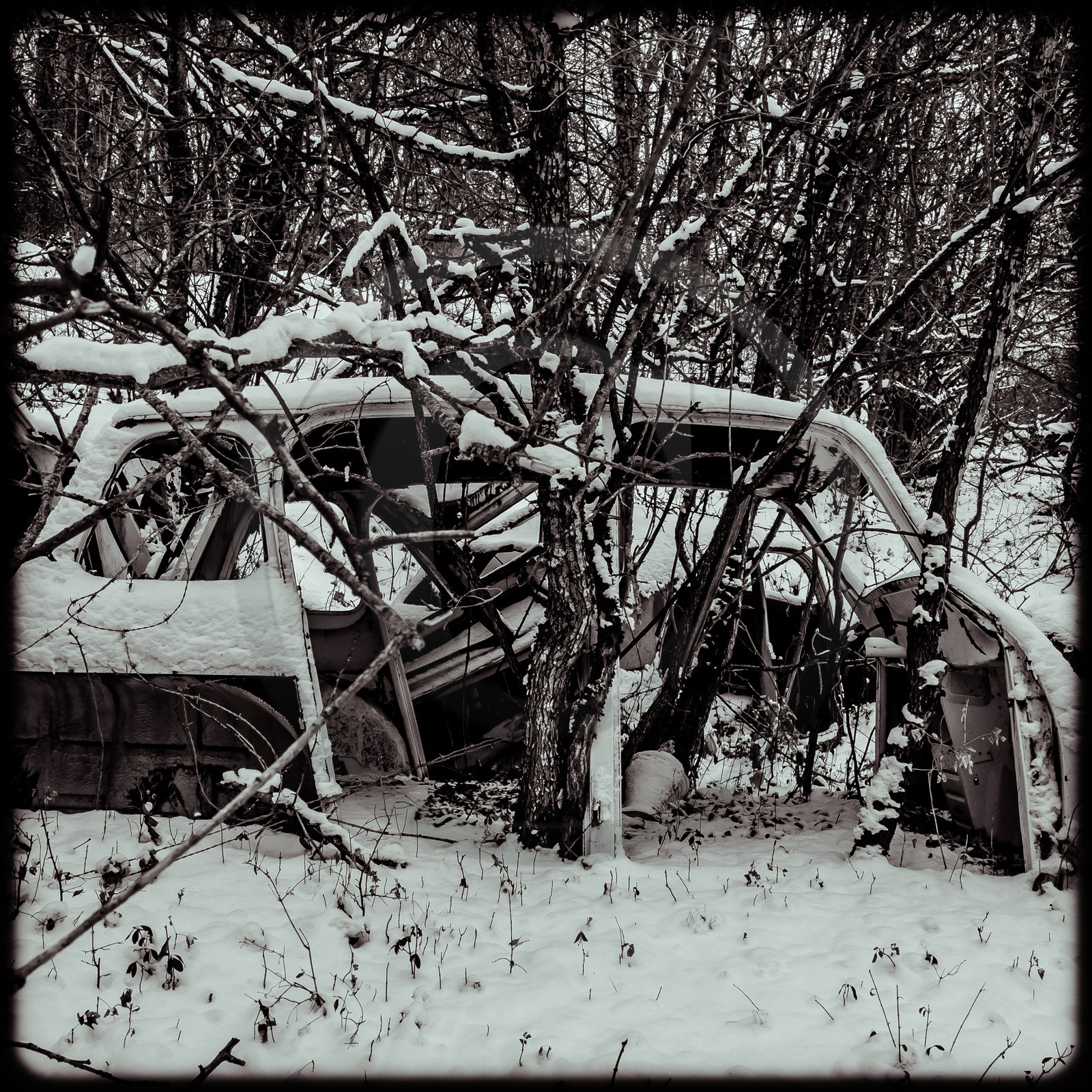 Un cimetière de voitures