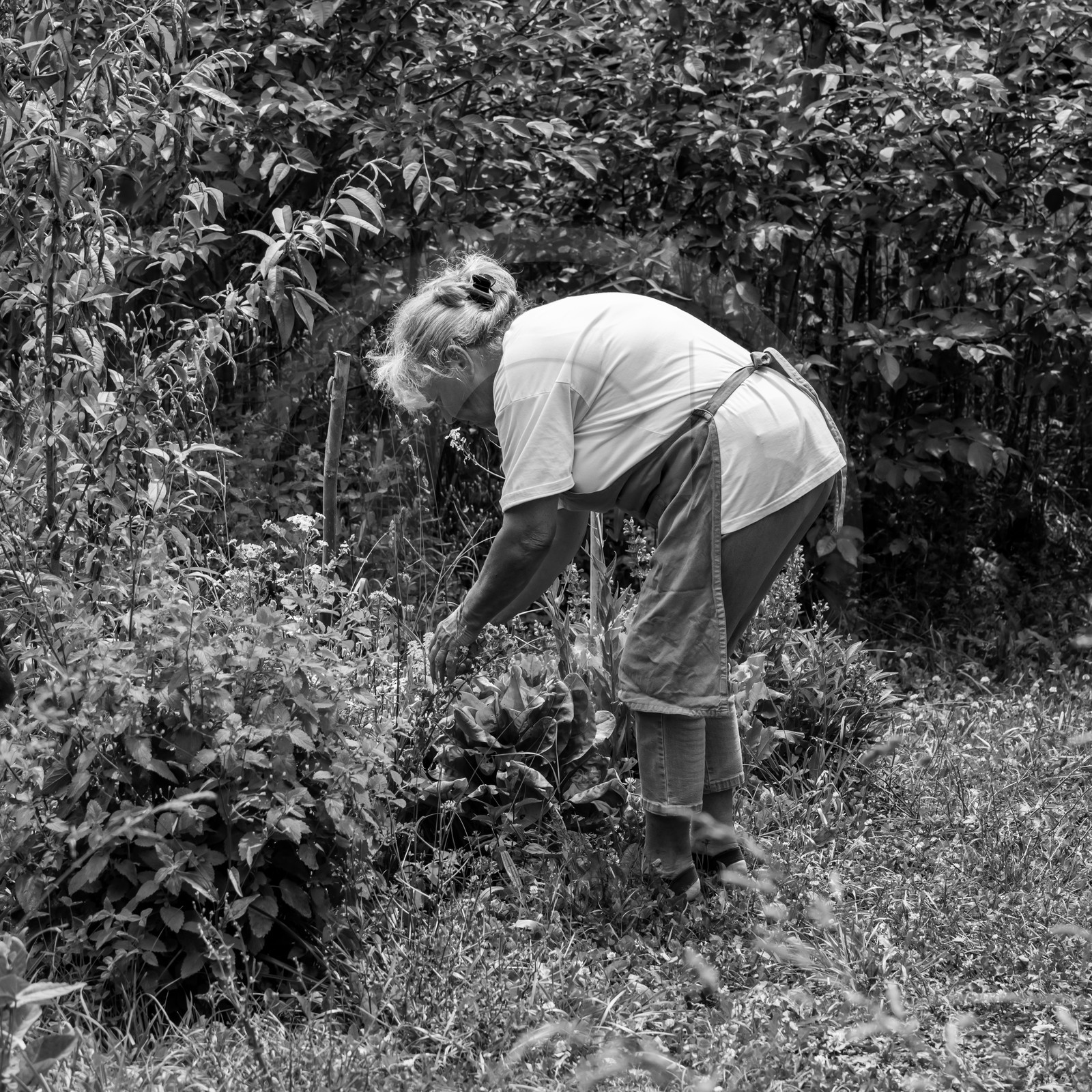 28 juin 2021 : Journée des aidants à l'Ouort.