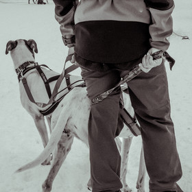 La Valgaude Traineau 2015