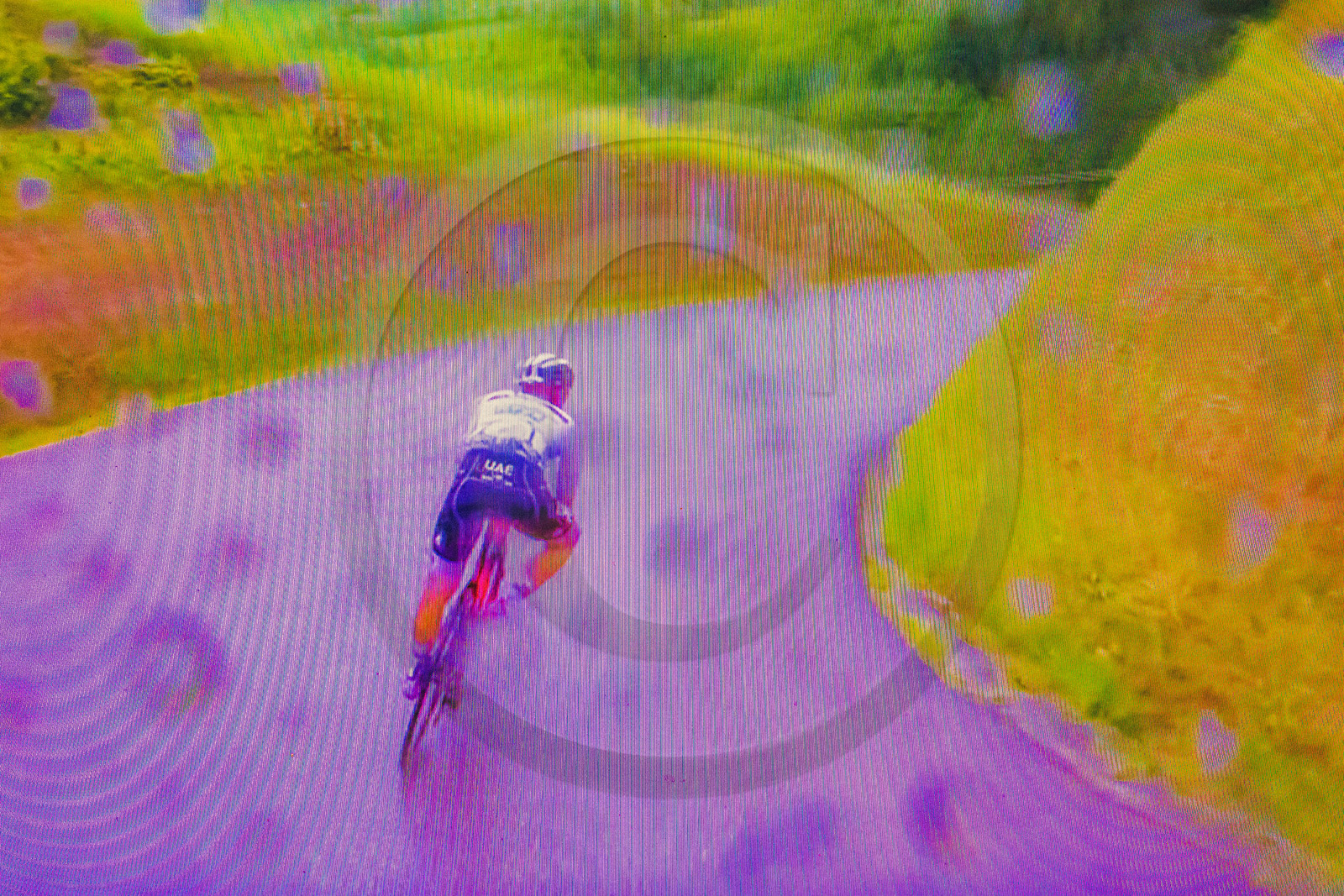 Le Tour de France cycliste 2021