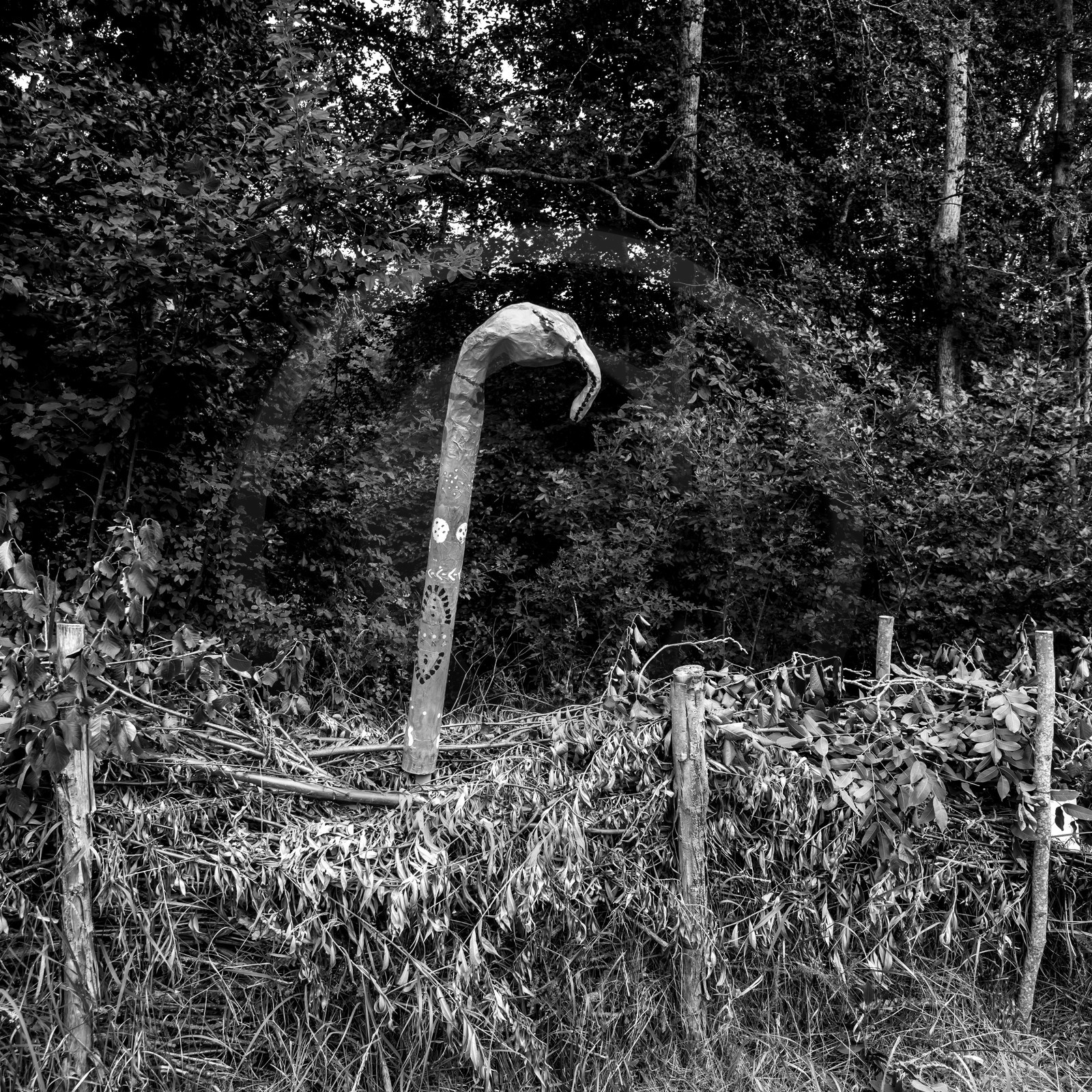 Exposition Alice