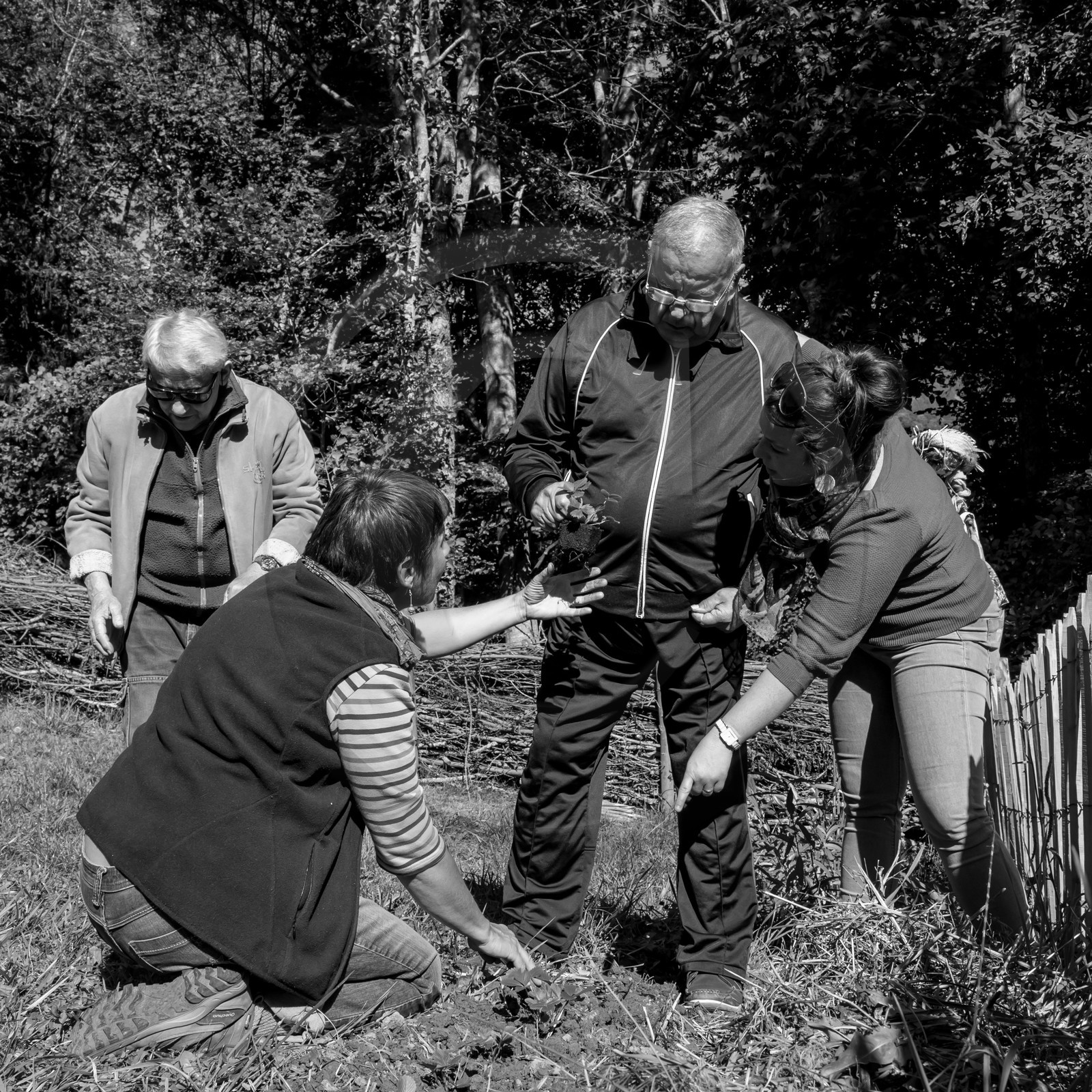 20 septembre 2017 - Jardinage 20 septembre 2017 - Jardinage