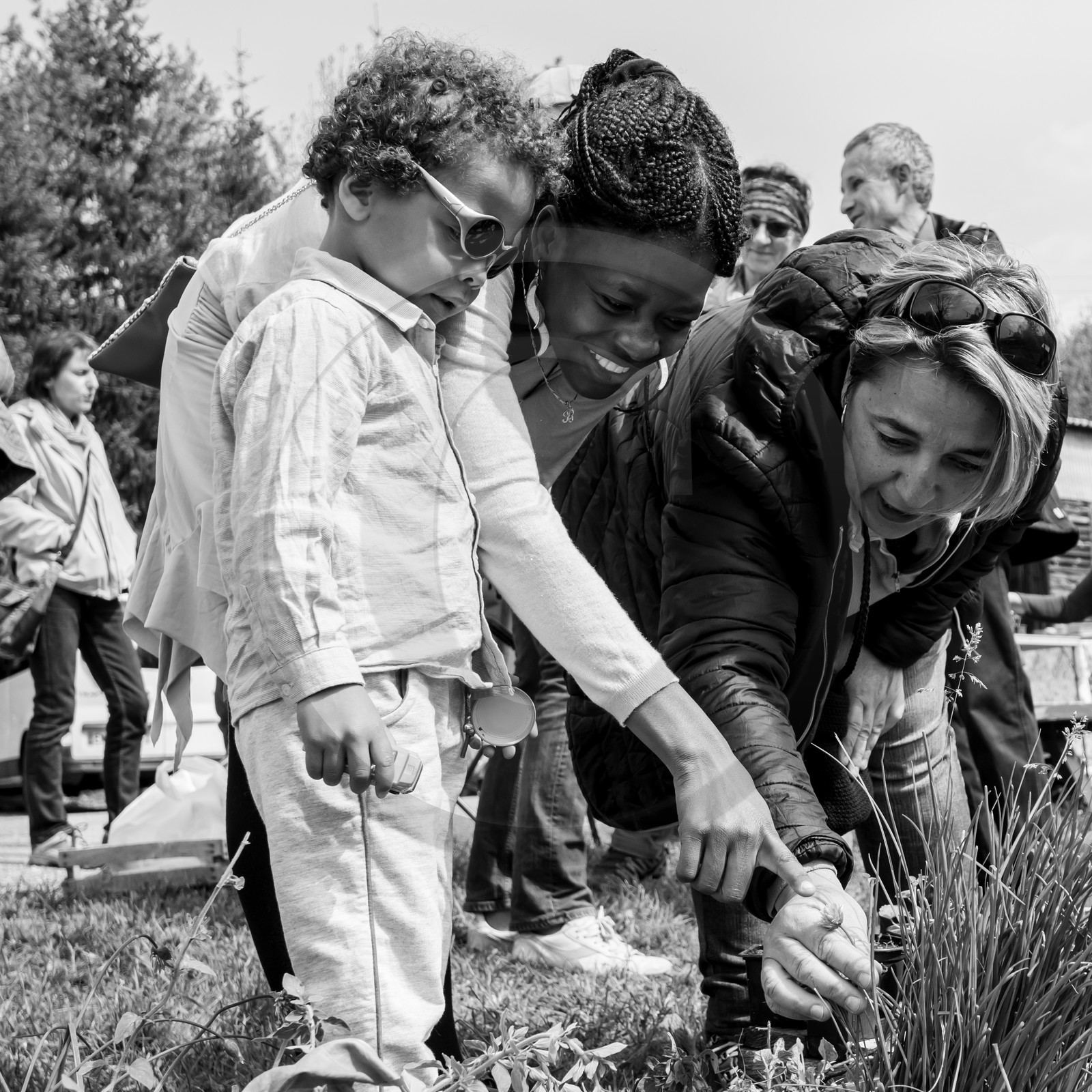 25 mai 2019 : Vide-Jardin de l'Ouort de Benevènt 25 mai 2019 : Vide-Jardin de l'Ouort de Benevènt