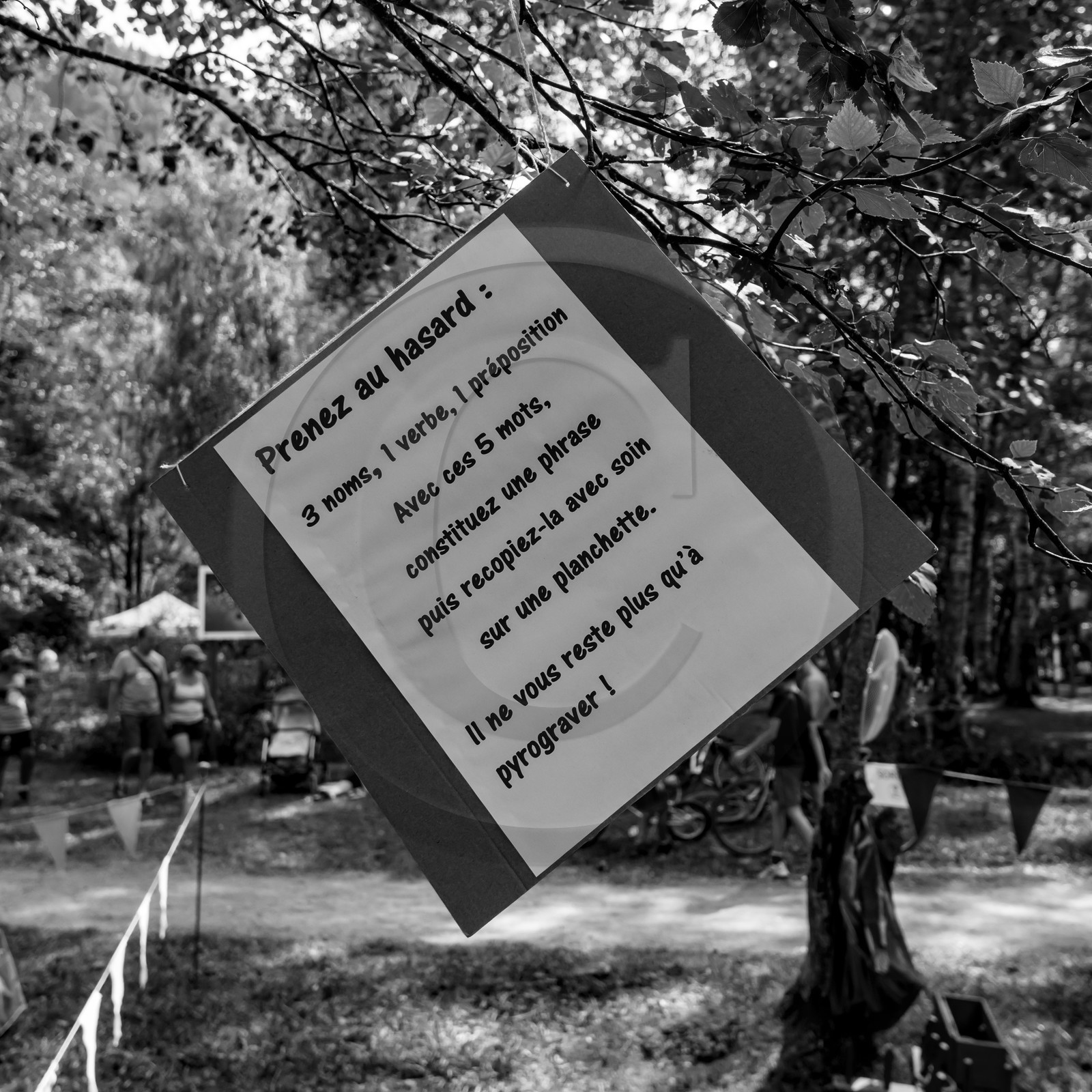 11, 12 et 13 août 2021 : L'Echo des Mots