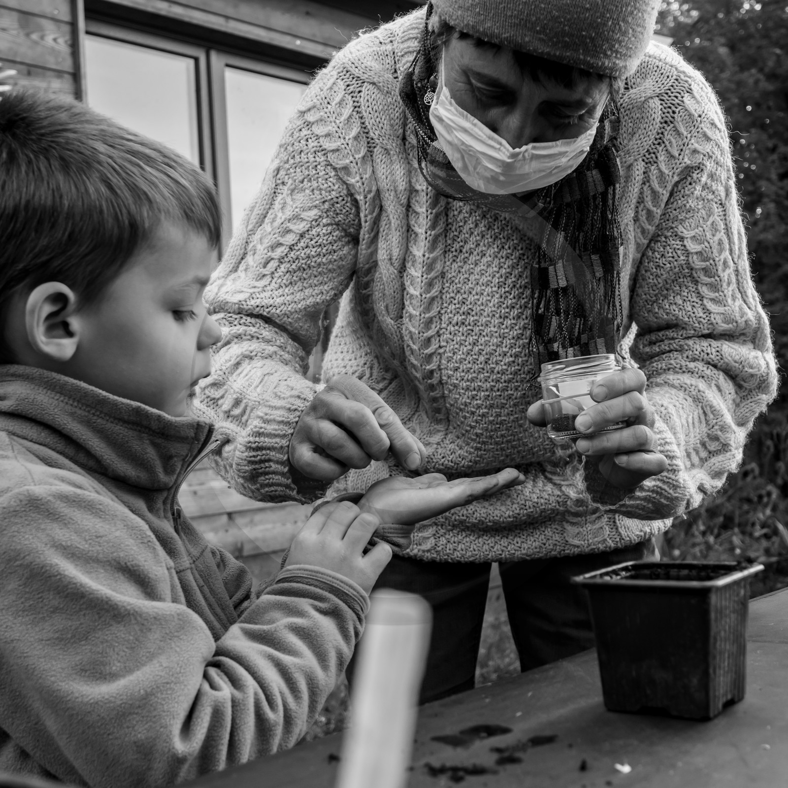 Semis, tournesols et jeux Semis, tournesols et jeux