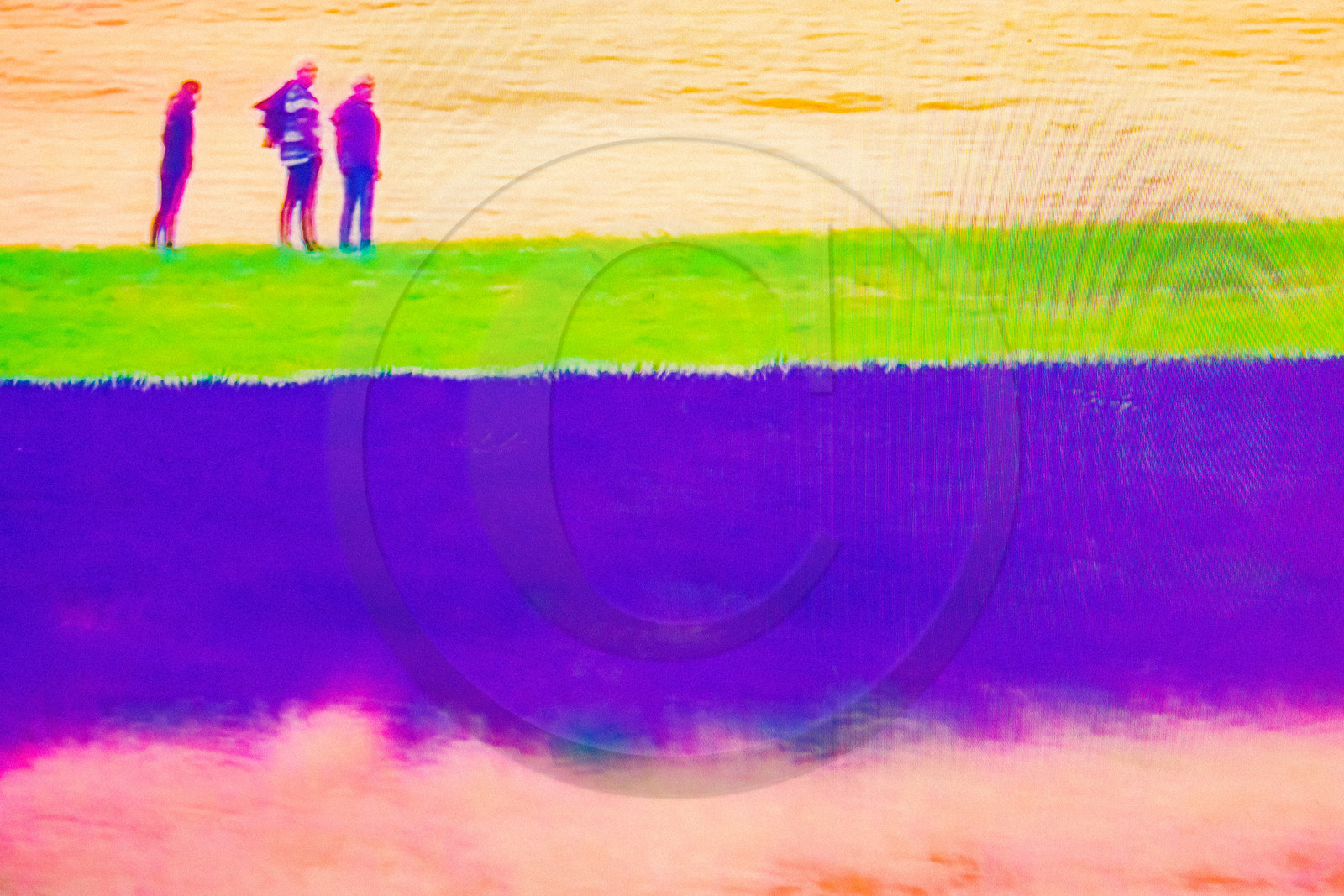 Le Tour de France cycliste 2021