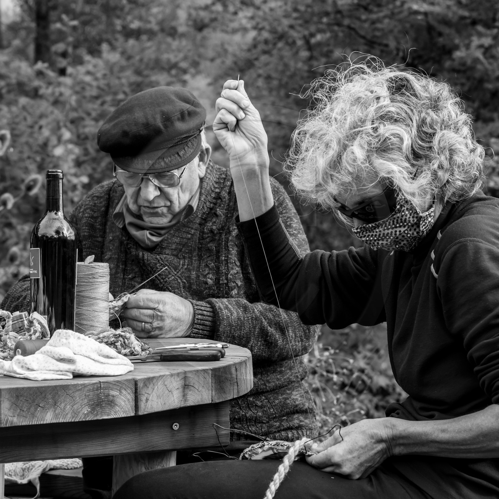 Semis, tournesols et jeux Semis, tournesols et jeux