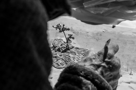 16 mai 2025 : Journée des aidants