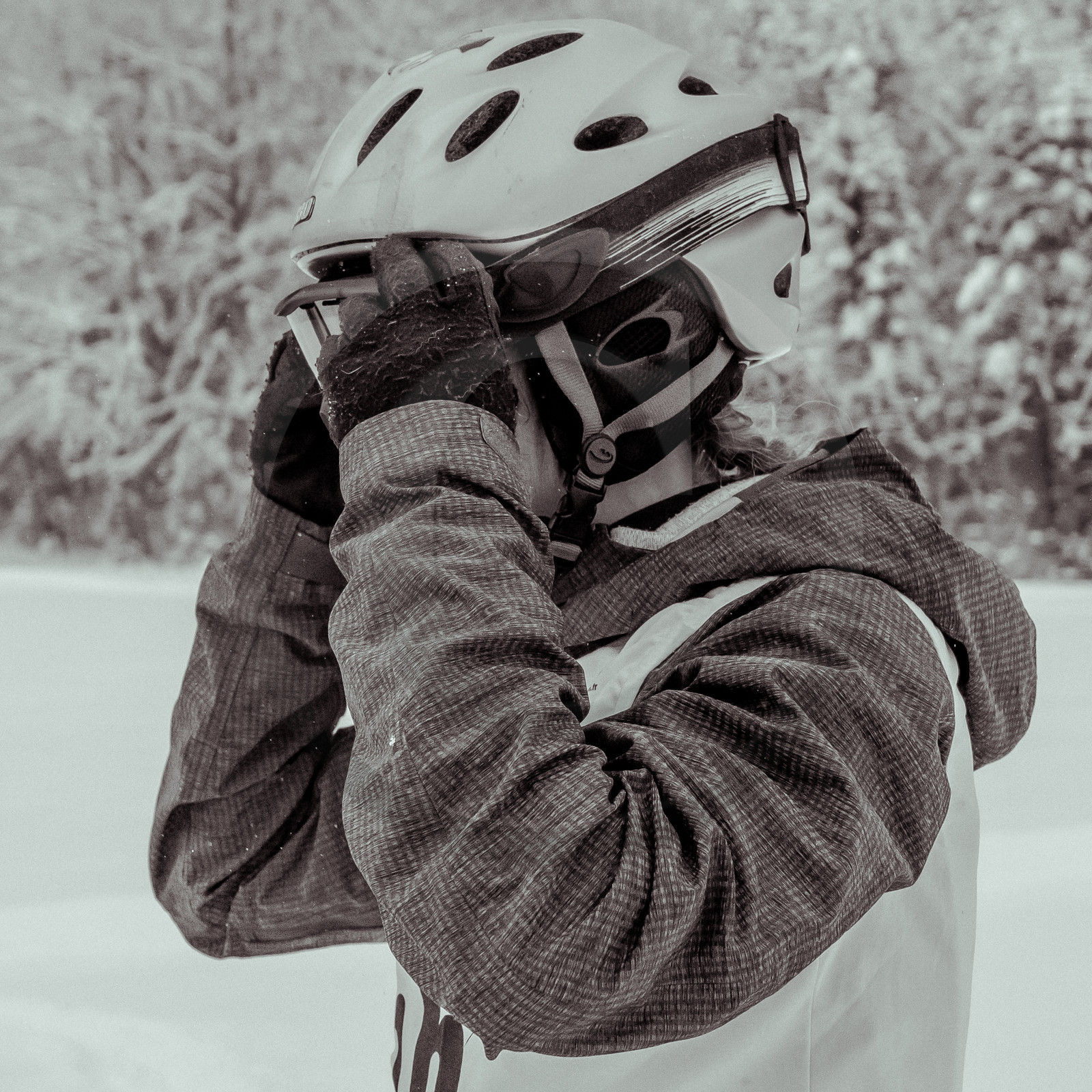 La Valgaude Traineau 2015 La Valgaude Traineau 2015