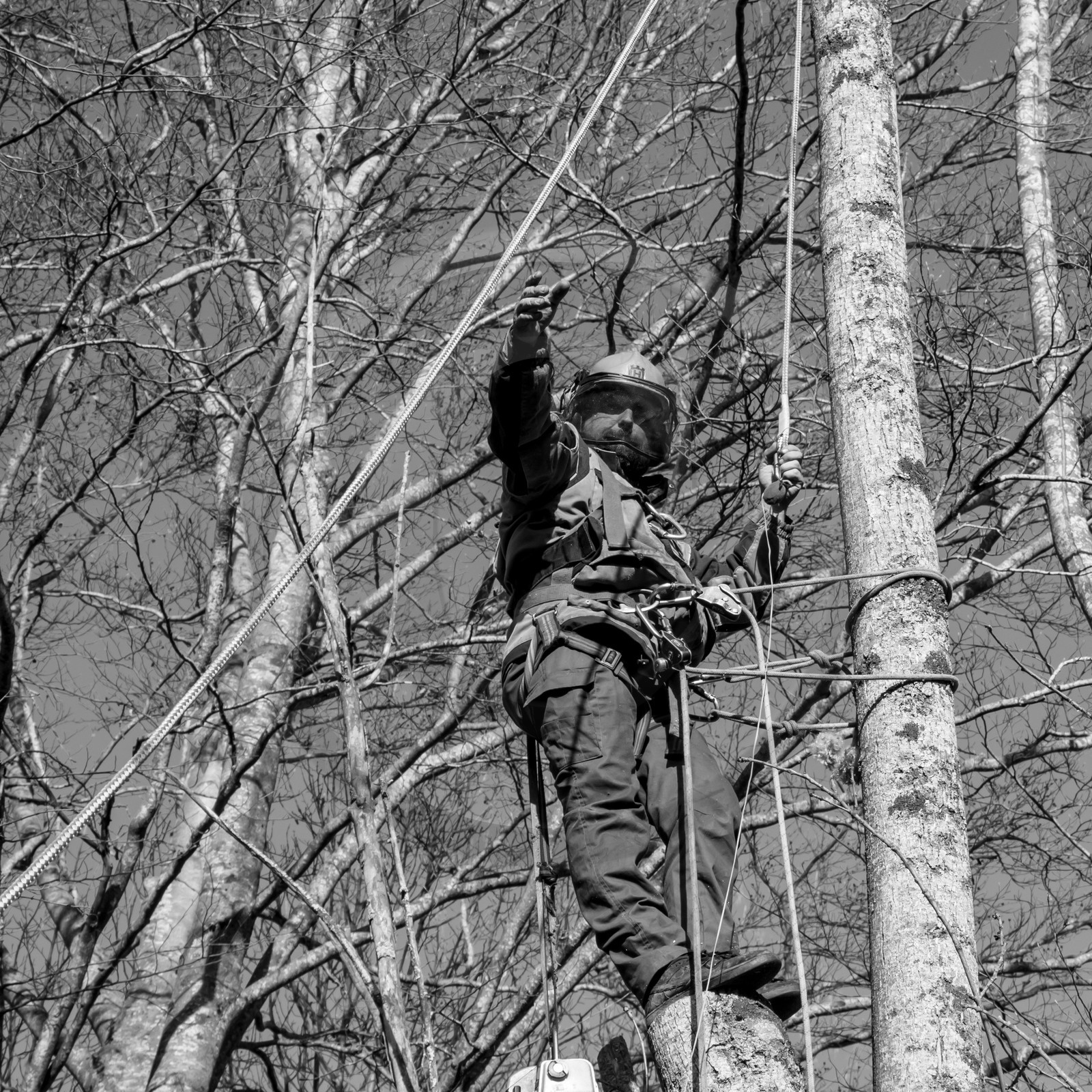 L'Ouort de Bénévent - 08 mars 2017