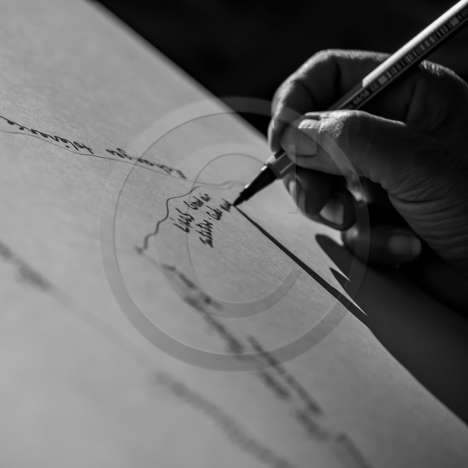 27 octobre 2021 : Un sentier et une réunion