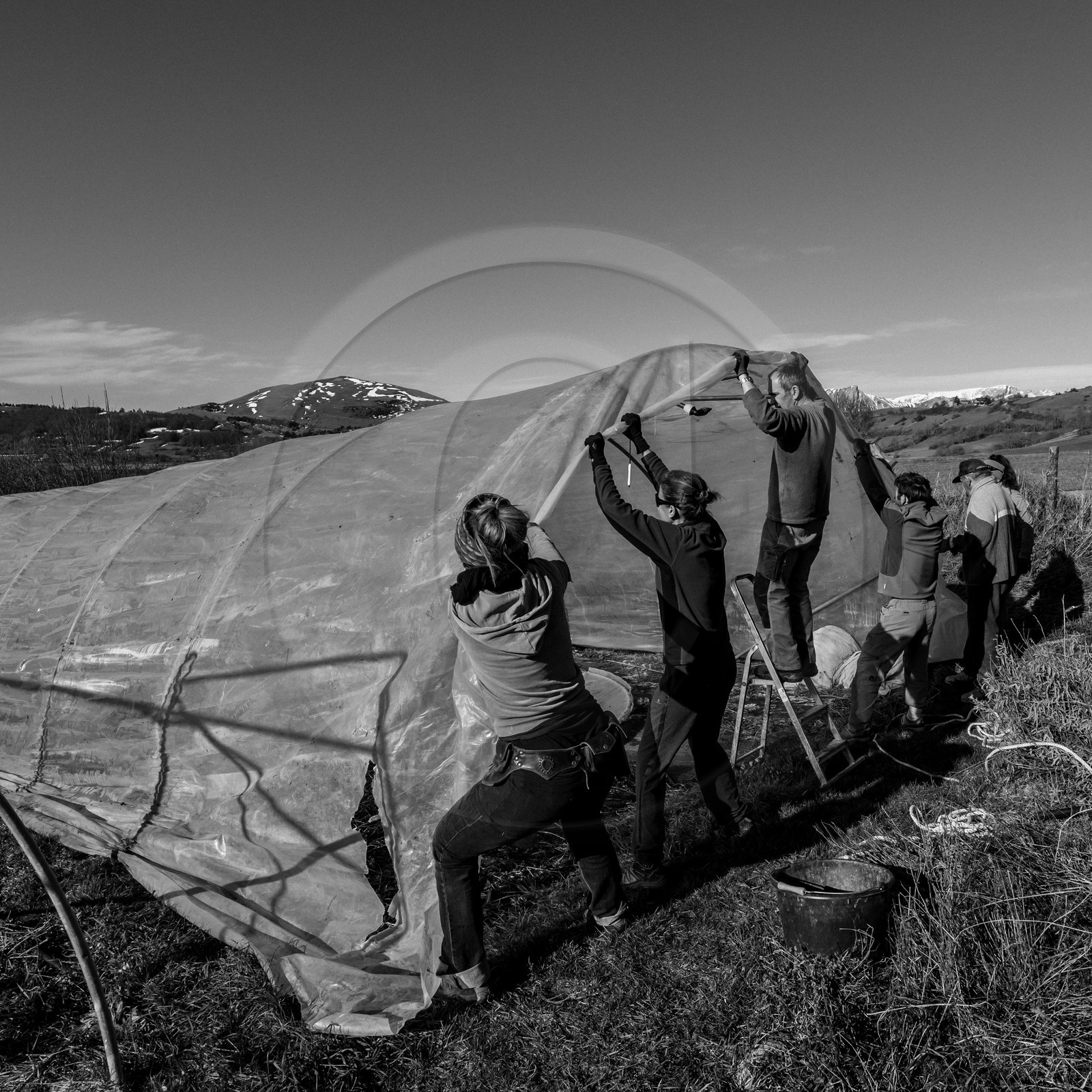 Montage de serres tunnel