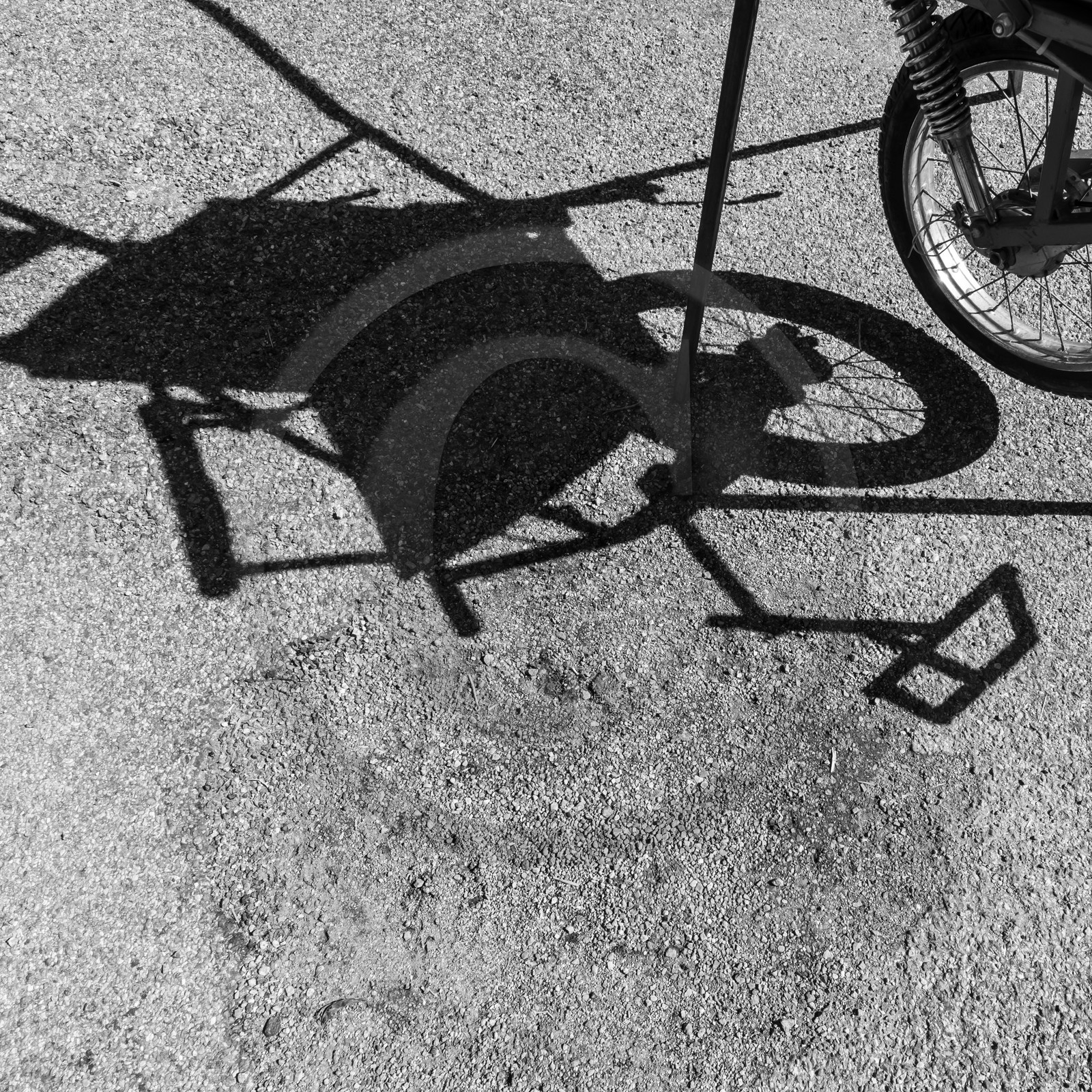 02 octobre 2019 : promenade en joelette